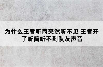 为什么王者听筒突然听不见 王者开了听筒听不到队友声音